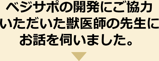 ベジサポの開発にご協力いただいた獣医師の先生にお話を伺いました。